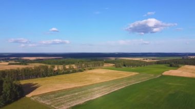Yeşil ve sarı tarlaların üzerinde uçuyorlar. Hava fotoğrafçılığı.