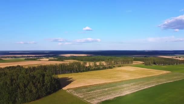 Flying Green Yellow Fields Aerial Photography — Stock Video