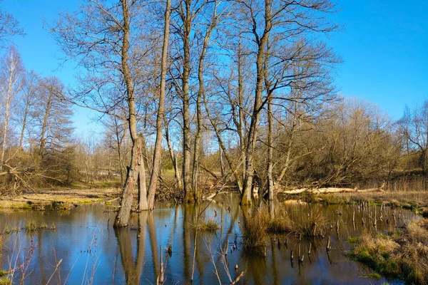 Eau Déversée Après Fonte Une Rivière Lac Après Hiver — Photo