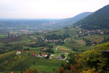 Dağ yeşili çayırlar sisli bir sabah