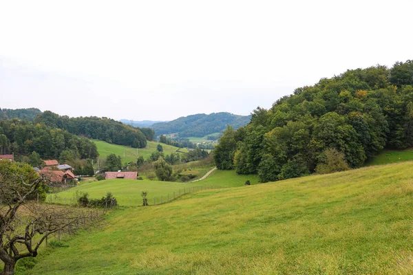 Berggroene Weiden Een Mistige Ochtend — Stockfoto