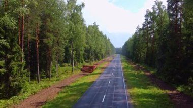 Yağmurdan sonra ıslak bir orman yolunda uçmak. Buharlaşma.
