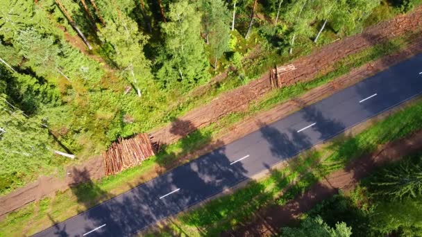 Coche Que Conduce Largo Autopista Medio Bosque Denso Vista Aérea — Vídeo de stock