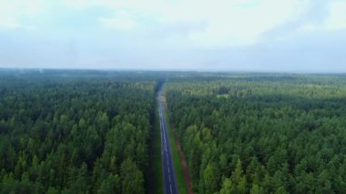 Yol üzerinde uçan hava manzarası. Yeşil orman. Yukarıdan drone atışı.