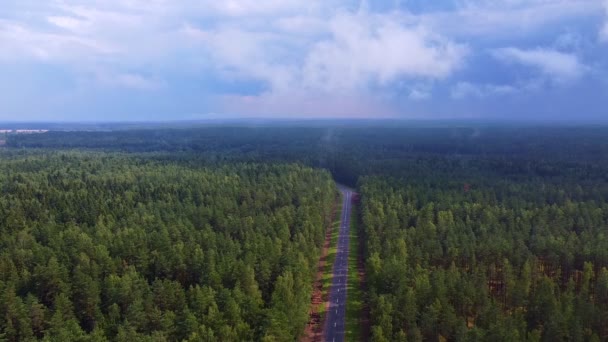 Widok Zielony Las Drogę Drona Chmury Poruszają Się Powoli — Wideo stockowe