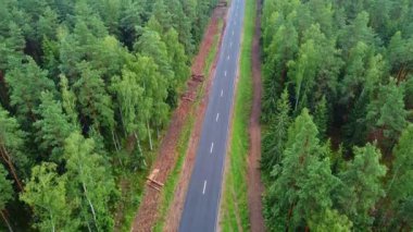 Ormandaki yeşil ağaçların havadan görünüşü. Kozalaklı ve yaprak döken ağaçlar, orman yolu.