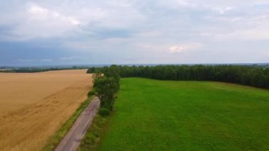 İnsansız hava aracı tarlaların ve çayırların üzerinde uçuyor. Tarım kavramı.