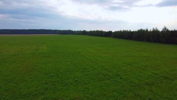 Drone Survole Champ Vert Concept Agriculture — Video
