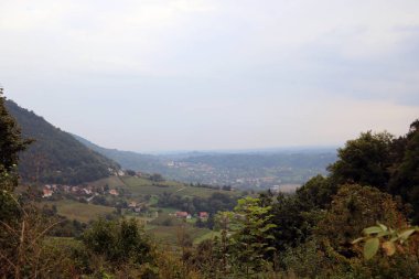 Dağ yeşili çayırlar sisli bir sabah