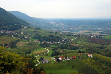 Dağ yeşili çayırlar sisli bir sabah
