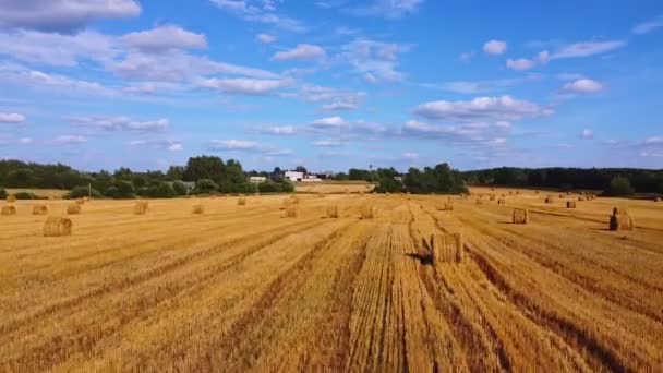 Paisaje Con Fardos Heno Campo Después Cosecha — Vídeos de Stock