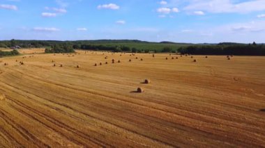 Tarlada buğday hasadı ruloları üzerinde uçmak. Ekmek üretim konsepti.