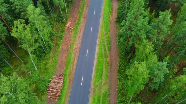 用移动的汽车从空中俯瞰道路 穿过森林的道路 — 图库视频影像