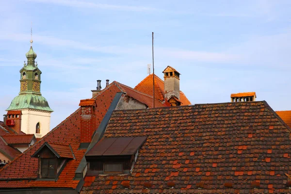 Una Vista Desde Arriba Sobre Los Tejados Casas Con Azulejos — Foto de Stock