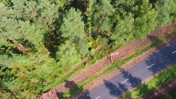 Dron Przelatuje Nad Leśną Drogą Zielonym Gęstym Lasem — Wideo stockowe