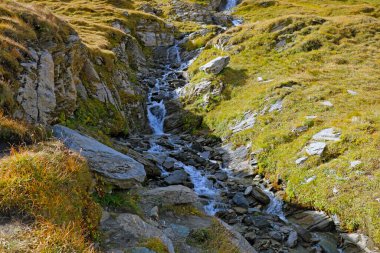 Soğuk berrak su dağ boyunca akar.