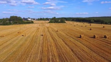 Sarı alan kaldırıldı. Tarım konsepti. Hasat et. Uçan İHA.