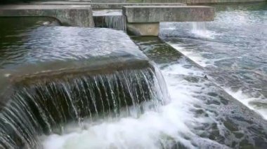 Şehir parkındaki bir su damlasının hızlandırılmış görüntüsü.