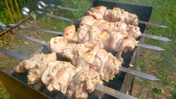 Крупним Планом Приготування Барбекю Грилі Смачна Їжа — стокове відео