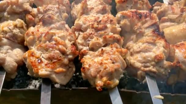 Şişte Pişmiş Barbekü Parçaları Izgarada Çürüyor — Stok video