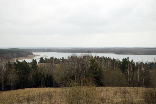 Вид на большие озера и лес в облачное осеннее утро. — стоковое фото