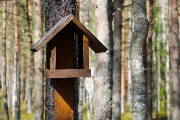Ağaçta beslenen küçük bir kuş.