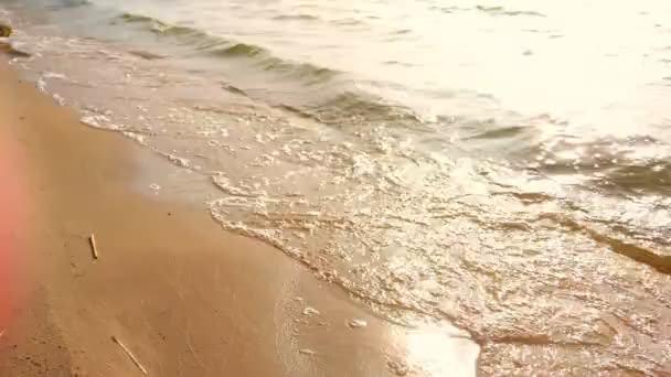 Sabbia Gialla Sulle Rive Fiume Lago Onde Rotolano Sulla Riva — Video Stock