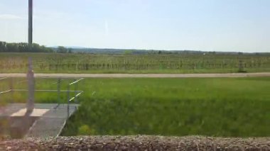 Açık mavi gökyüzünün altındaki sıra sıra ekinlere uzanan metal geçitli çimenli bir tarlaya ev sahipliği yapan engin yeşil bir manzara. Sahne, kırsal ve tarımsal temaları vurgulayarak sükunet ve açık alanı yakalıyor.