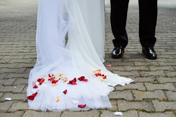 Vestido Novia Pétalos Flores Calle Fondo Superficie — Foto de Stock