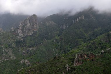 Anaga, Tenerife.Panoramic Anaga dağ manzaralı dağlarında.