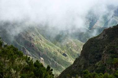 Anaga, Tenerife.Panoramic Anaga dağ manzaralı dağlarında.