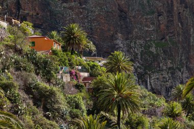 Dağ peyzaj tropikal ada Tenerife, Kanarya İspanya. Gorge trekking görünümünden Masca Vadisi.