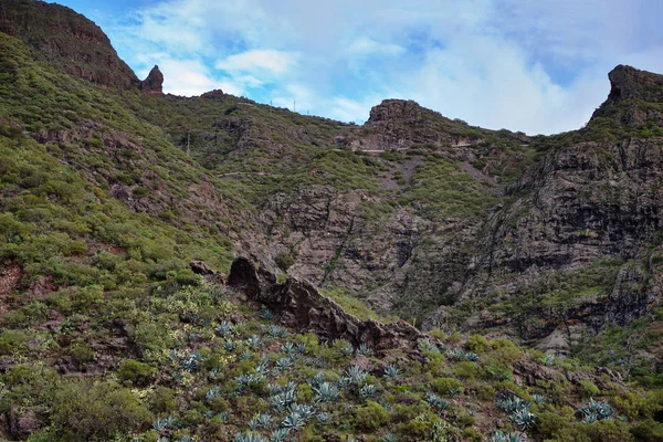 Berglandschaft Auf Der Tropischen Insel Teneriffa Kanarienvogel Spanien Schlucht Trekking — Stockfoto