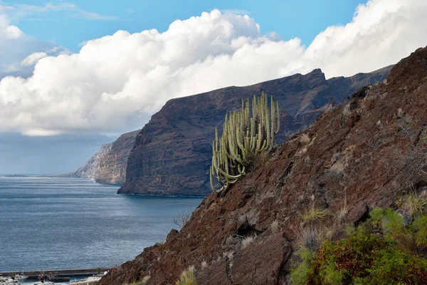 Vista Los Acantilados Los Gigantes Tenerife Islas Canarias España — Foto de Stock