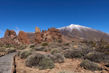 Görünümünden Teide Garcia Rock.Beautiful güneşli gün Teide Milli Parkı'nda.