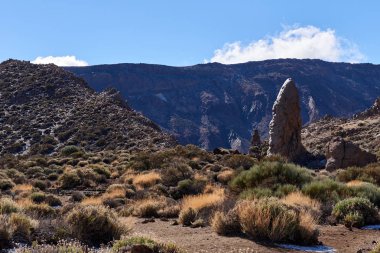 Teide Milli Parkı. Roques de Garcia, İspanya.