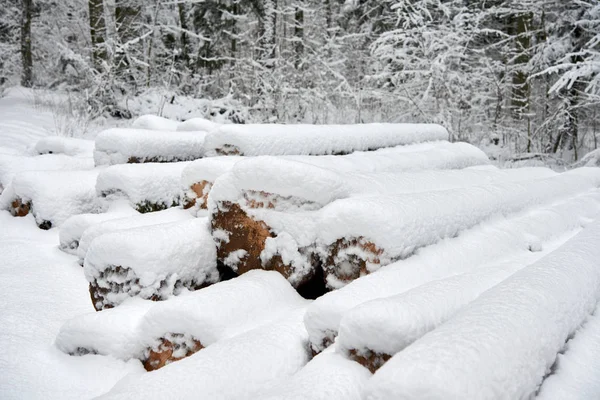 Ormansızlaşma. Hasat kereste. Günlükleri kar altında. Ahşap orman içinde hisse senedi. Kış snowdrifts.