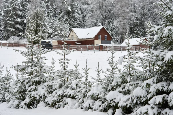 Cottage Next Forest Lithuanian Landscape Winter — Stock Photo, Image