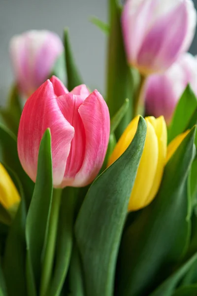 Bouquet de printemps de tulipes colorées . — Photo