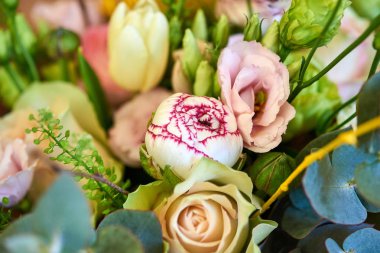 Bahar buket çiçek.