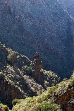 Barranco del infierno (hell's gorge), tenerife, Kanarya Adaları
