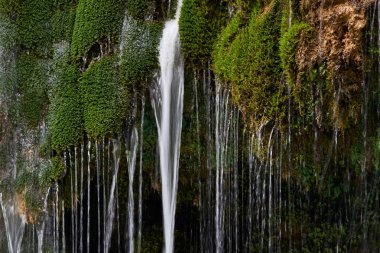 Nehir Abasha Şelalesi Doğal Anıt.Düşen şelale. Gürcistan'da uzun süre fotoğraflandı.