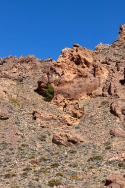 Teide Milli Parkı roques de garcia Tenerife, Kanarya Adaları
