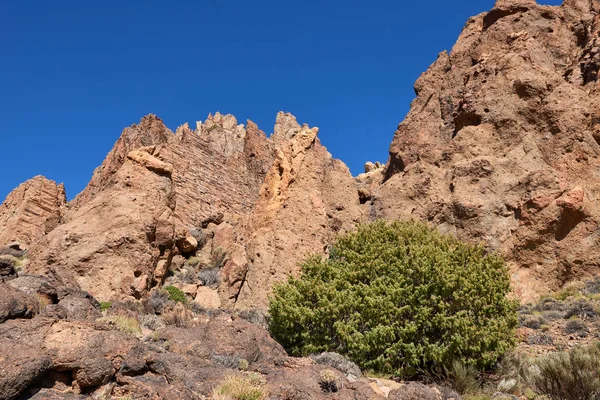 Teide Milli Parkı roques de garcia Tenerife, Kanarya Adaları