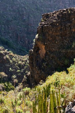 Barranco del infierno (hell's gorge), tenerife, Kanarya Adaları