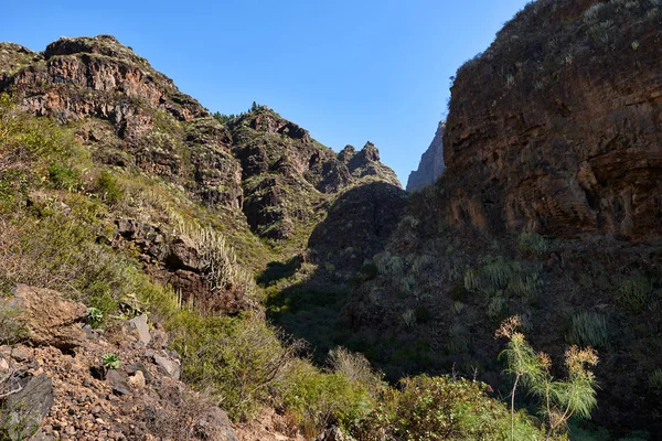 Barranco del infierno (hell's gorge), tenerife, Kanarya Adaları