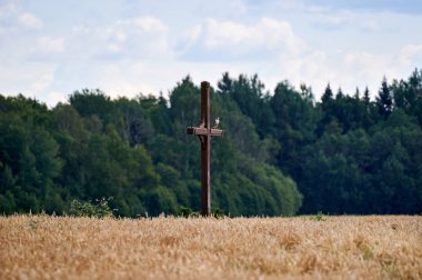 Şahin ormanın yakınındaki bir haçın üzerine düştü.