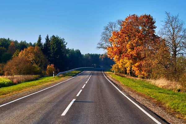 Paved road surrounded by trees during peak colors of Autumn.