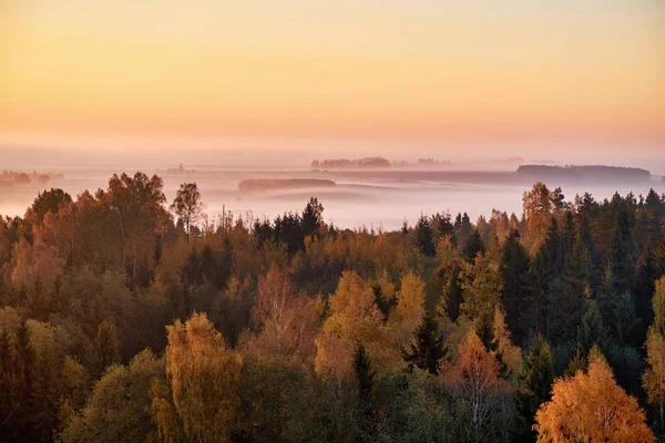 Morning landspace with sun rays. Beautiful landscape with forest and fog.Lithuanian landscape.