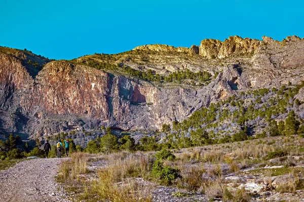 Grupos Personas Caminando Través Paisajes Montañas —  Fotos de Stock